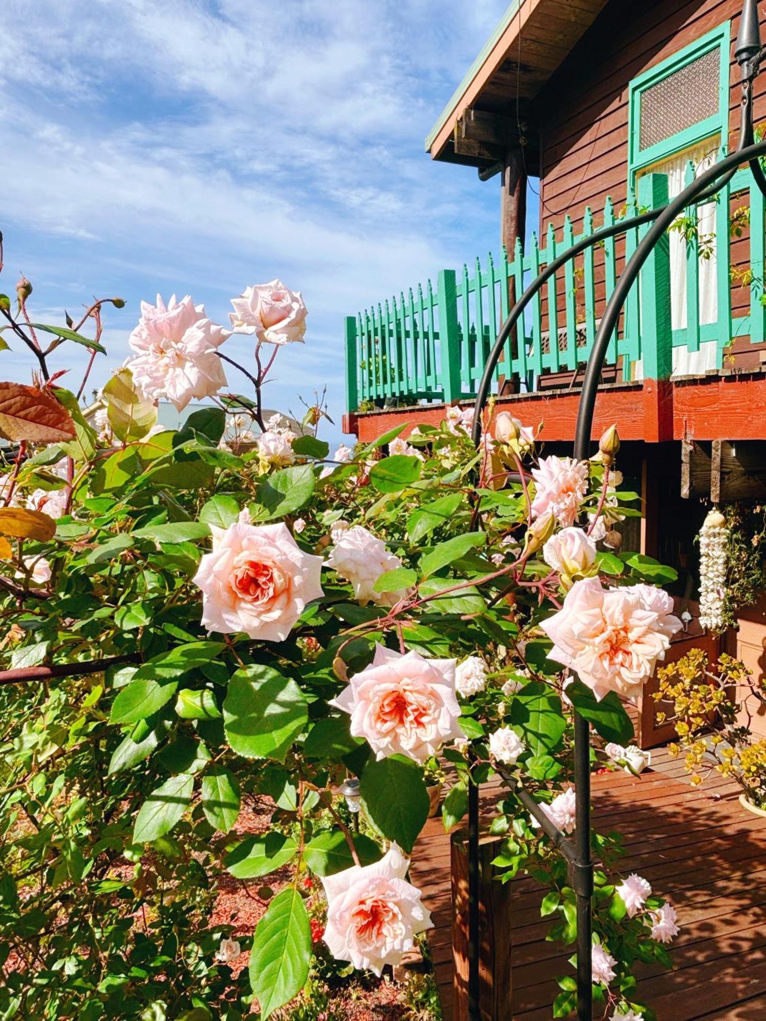 The Goat And Goose Bed & Breakfast Lakes Entrance Bagian luar foto